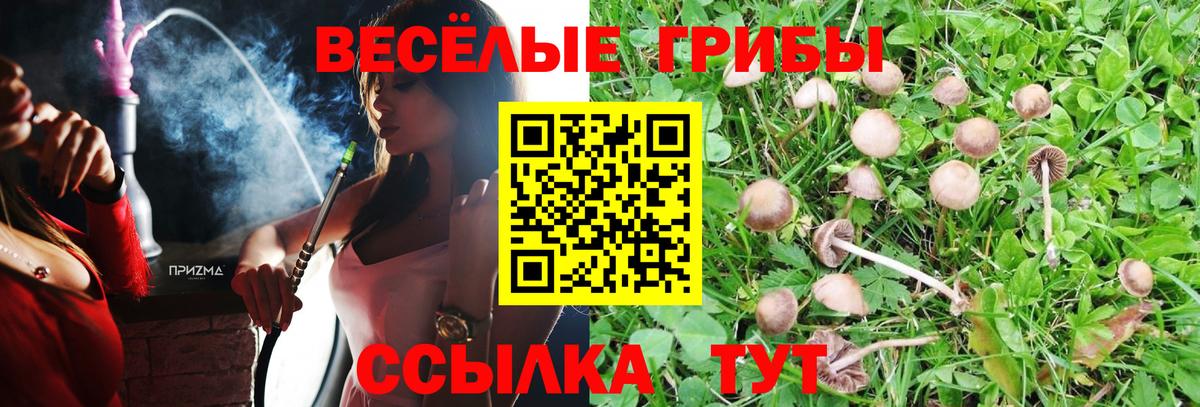 Псилоцибиновые грибы Magic Shrooms  Псилоцибиновые грибы Psilocybine cubensis  Моздок  Вход с VPN 
